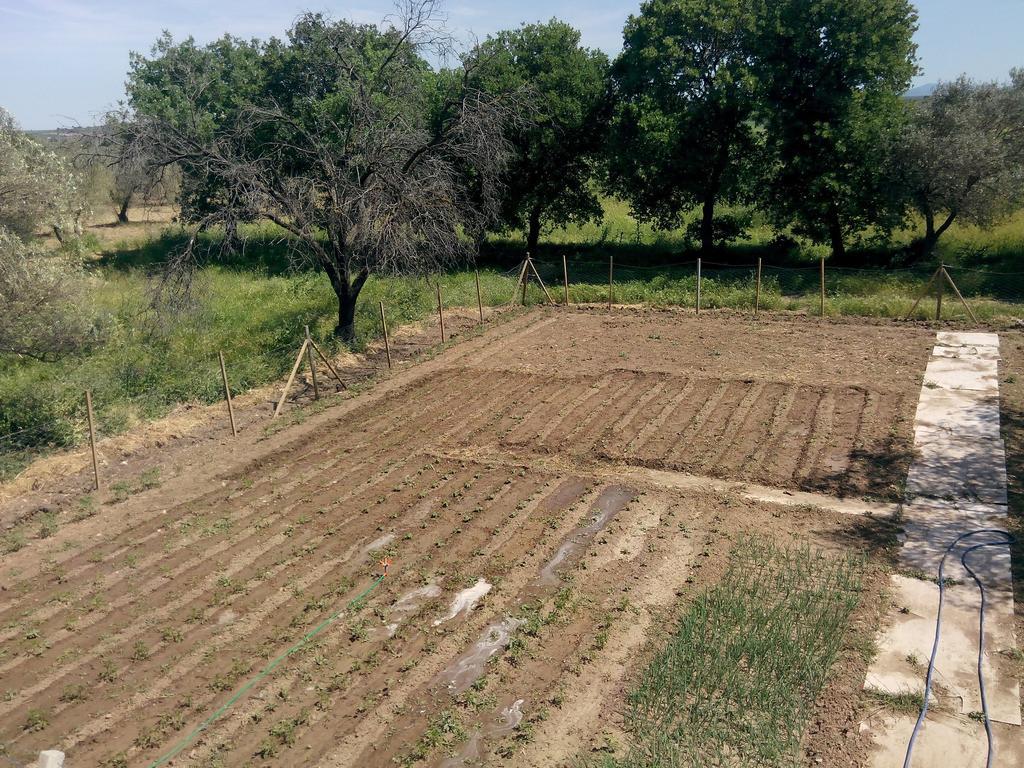 Geyikli Herrara Εξωτερικό φωτογραφία